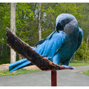 Bird 16