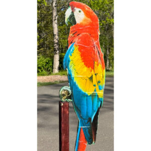Bird 24