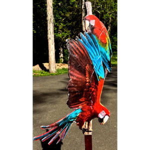 Bird 25