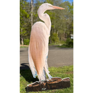 Bird 30