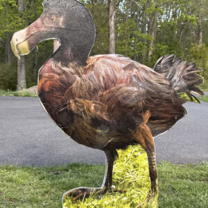 Bird 36