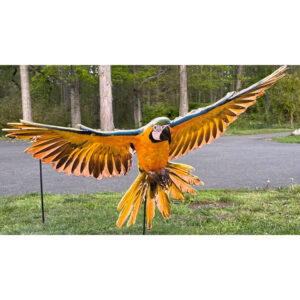 Bird 38