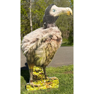 Bird 40