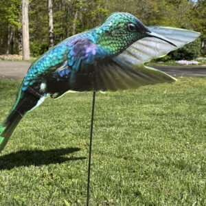 Bird 5