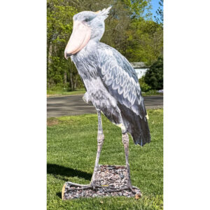 Bird 8